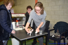 Katttenshow Arendonk 2020 DSC 0051