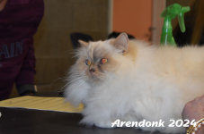 Arendonk 2024 261