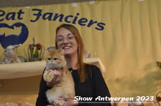 Schow Antwerpen 2023 368