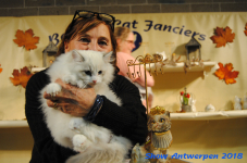 antwerp 2018 0358