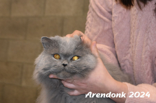 Arendonk 2024 063