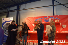 Laakdal 2023 286