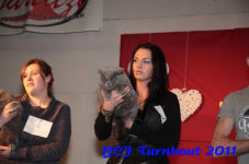 bcf antw 2010 244