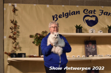 Antwerp 2022219