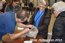 Schow Antwerpen 2023 060