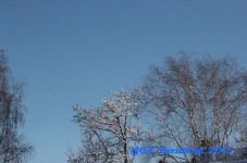 turnhout 2013 img 9919