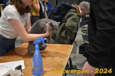 Antwerpen 048