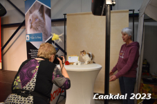 Laakdal 2023 365