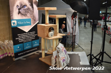 Antwerp 2022396