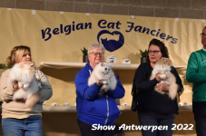 Antwerp 2022291