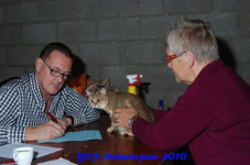 bcf antw 2010 080