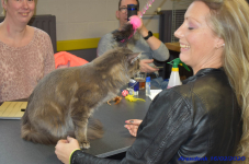 Katttenshow Arendonk 2020 DSC 0256