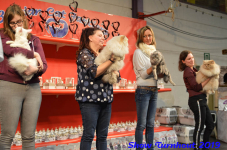 turnhout 2019-0326