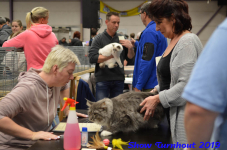turnhout 2019-0350