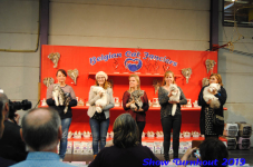turnhout 2019-0135