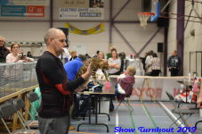 turnhout 2019-0453