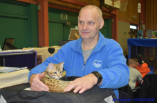 Katttenshow Arendonk 2020 DSC 0224