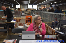 Antwerpen 2019DSC 0143