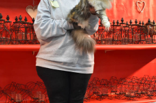 Katttenshow Arendonk 2020 DSC 0392