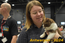 Antwerpen 225
