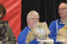 Arendonk 2024 547