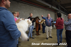 Antwerp 2022156