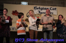 antwerpen 2012 229