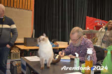 Arendonk 2024 292