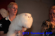 bcf antw 2010 277