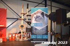 Laakdal 2023 133