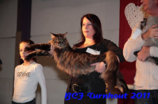 bcf antw 2010 262