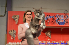 turnhout 2019-0400