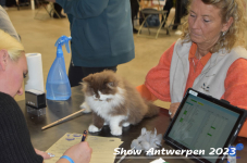 Schow Antwerpen 2023 262