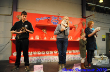 turnhout 2019-0213