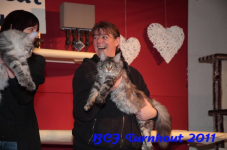 bcf antw 2010 254