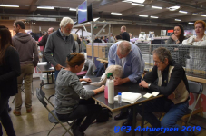 Antwerpen 2019DSC 0141
