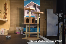 Antwerp 2022368