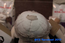turnhout 2013 img 0208