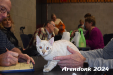 Arendonk 2024 360