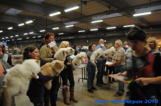 antwerp 2018 0309