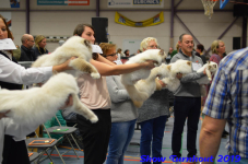 turnhout 2019-0450