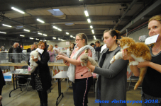 antwerp 2018 0319