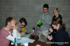 showantwerpen 1104