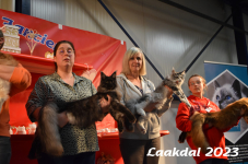 Laakdal 2023 377