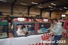 Laakdal 2023 163