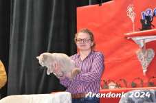 Arendonk 2024 164