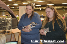 Schow Antwerpen 2023 156
