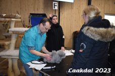 Laakdal 2023 094
