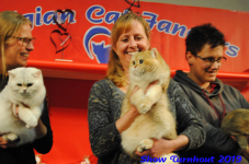 turnhout 2019-0211