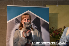 Schow Antwerpen 2023 365